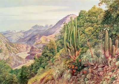 The Streams of Languenas in the Cordellera, Chile by Unbekannt Unbekannt